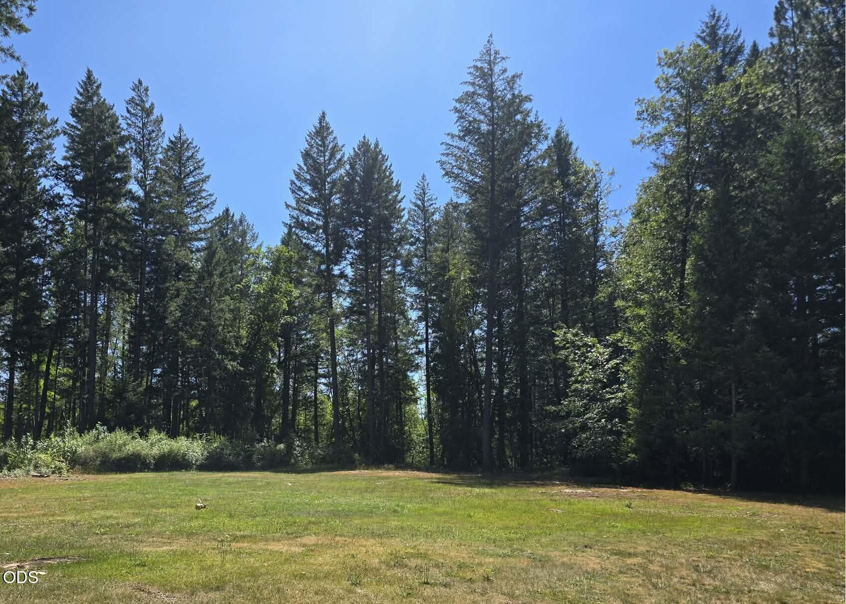 4299 Dick George Road Cave Junction, OR 97523 - Photo 10 of 12