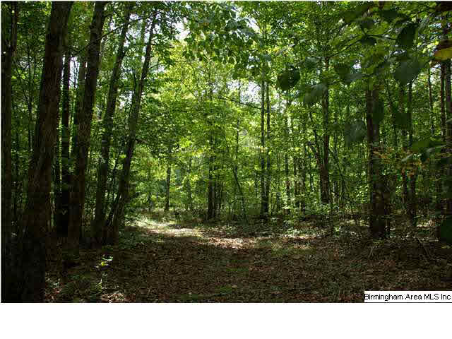 Turkey Ridge, Unit 11 Ragland, AL 35131 - Photo 21 of 31
