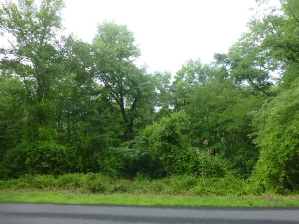 Lot 12 Wilbraham Road Monson, MA 01057 - Photo 3 of 5 Gallery Image 3