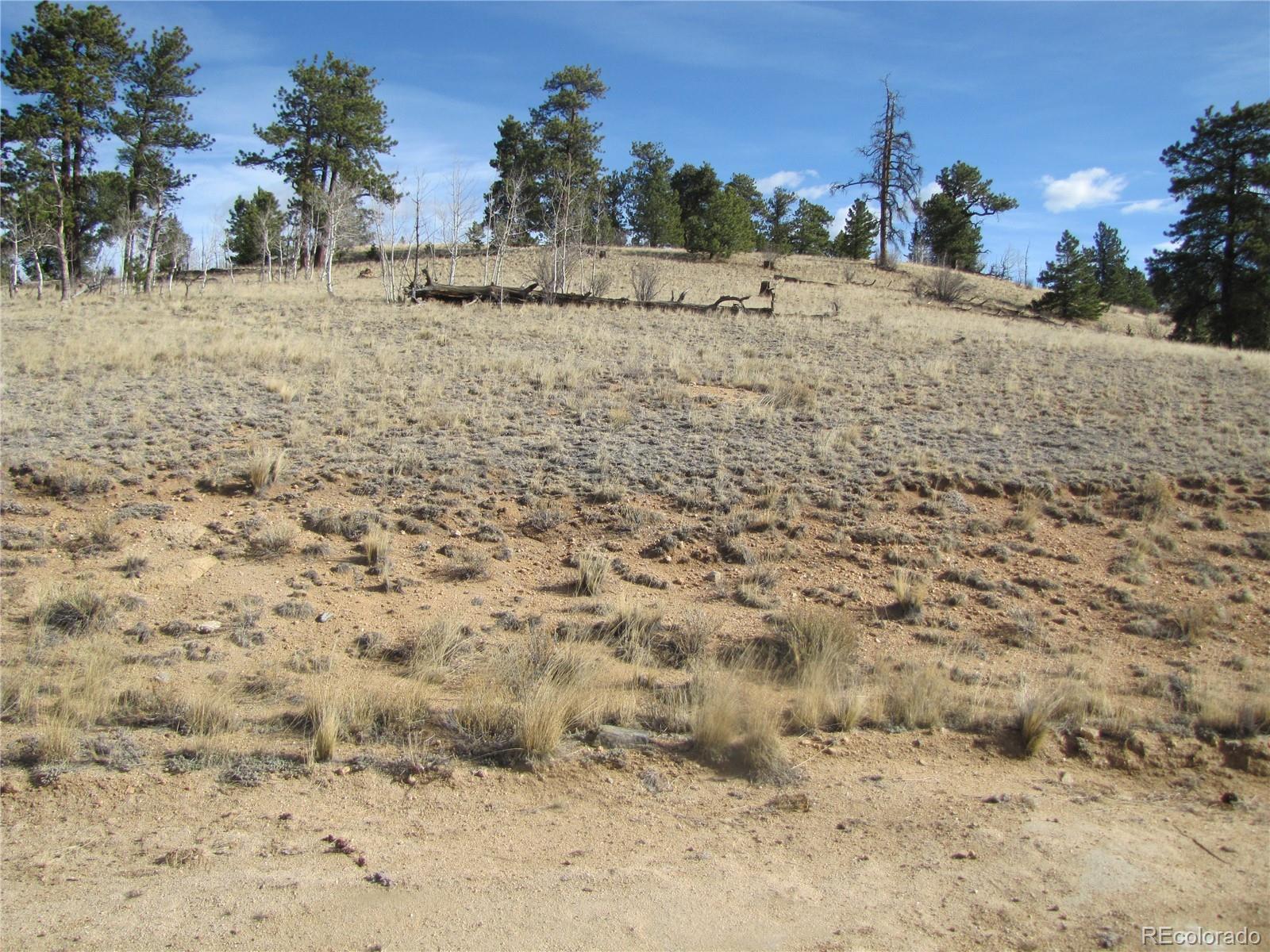757 Remington Road Como, CO 80432 - Photo 16 of 29