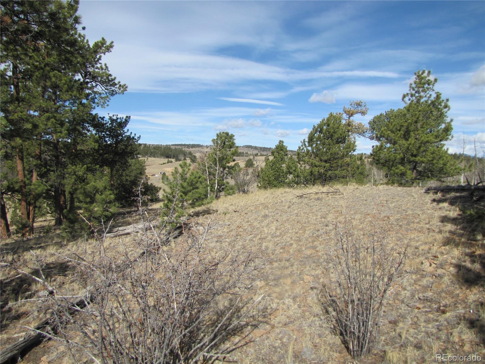 757 Remington Road Como, CO 80432 - Photo 22 of 29