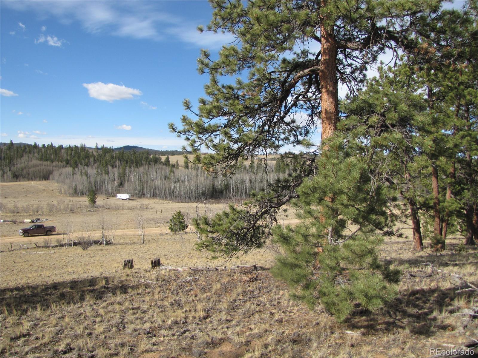 757 Remington Road Como, CO 80432 - Photo 23 of 29