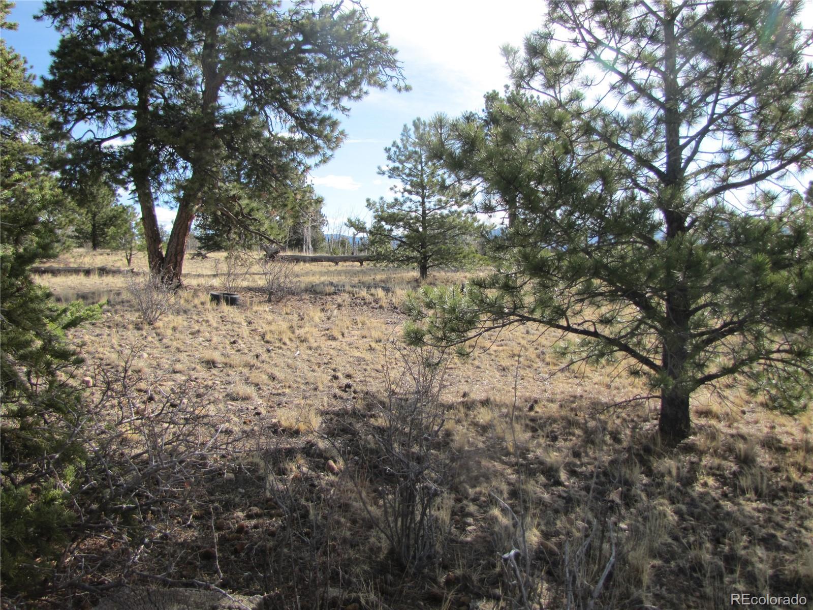 757 Remington Road Como, CO 80432 - Photo 25 of 29