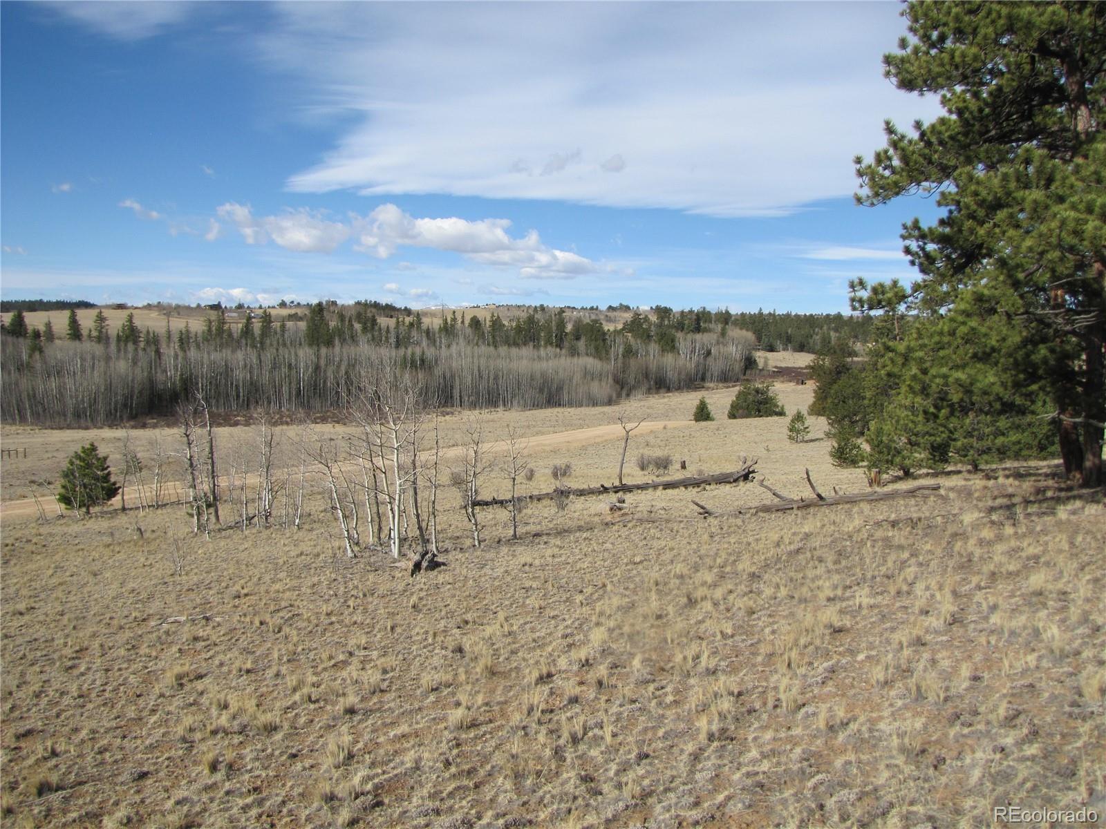 757 Remington Road Como, CO 80432 - Photo 28 of 29