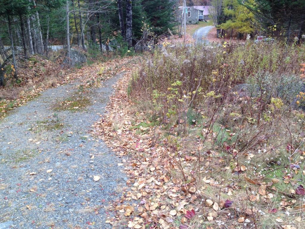 223 Old Dead River Road Eustis, ME 04982 - Photo 4 of 4 Photo