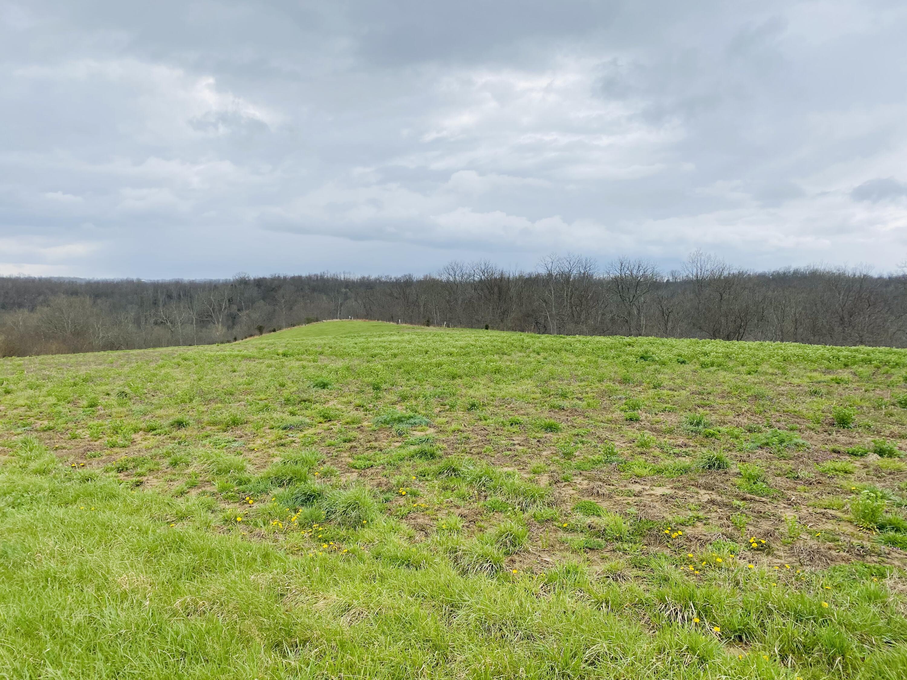 0 Elliston-Napoleon Road Dry Ridge, KY 41035 - Photo 8 of 11 Gallery Image 8