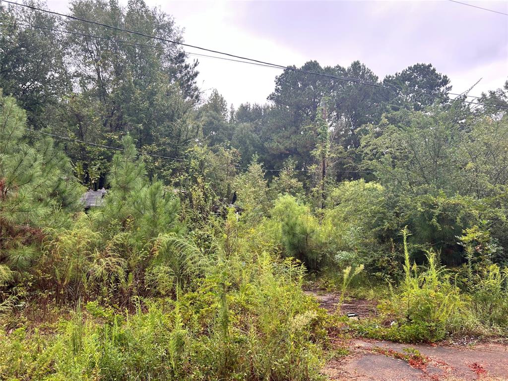 162 Lewis Loop Cotton Valley, LA 71018 - Photo 2 of 2