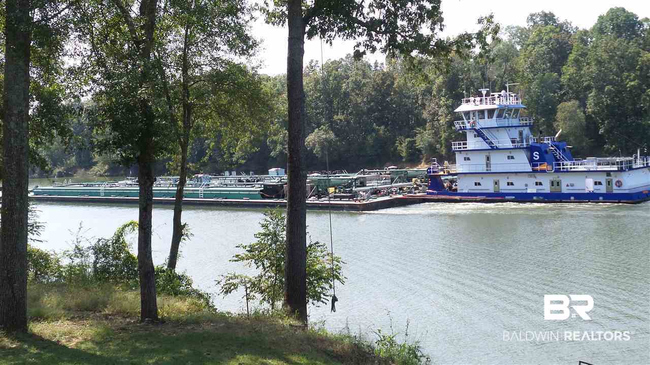 21 Jimmie Phillips Road Sawyerville, AL 36776 - Photo 13 of 41