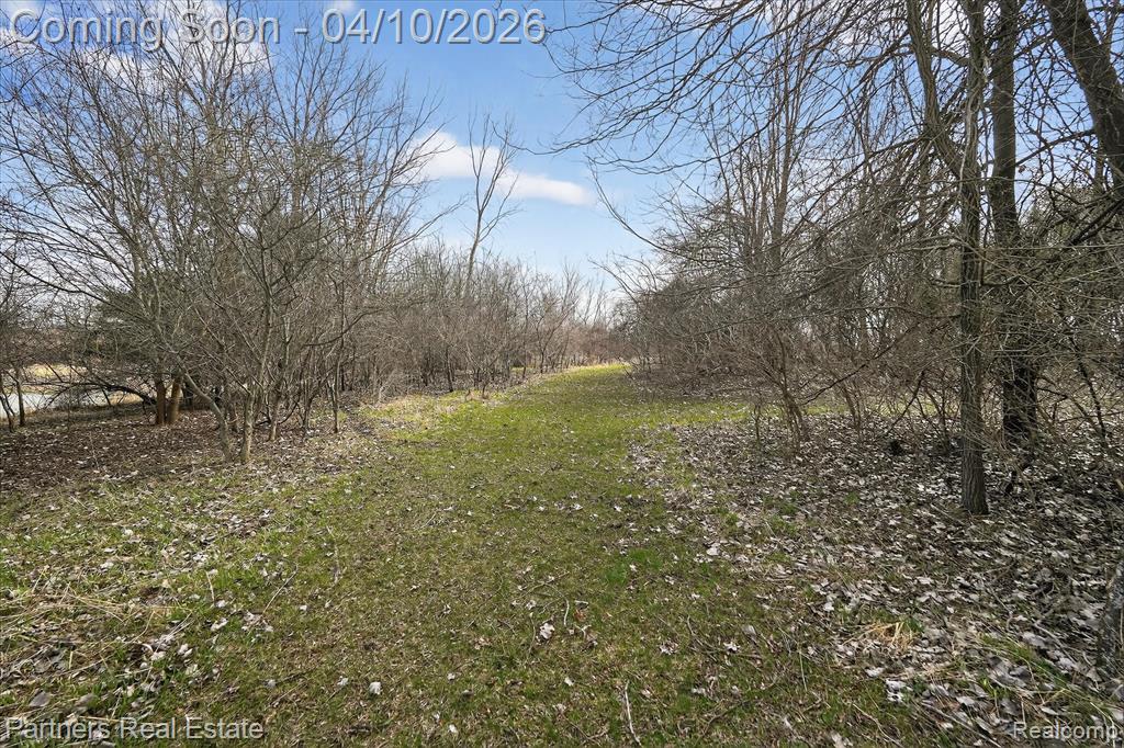 10863 Judd Road Fowlerville, MI 48836 - Photo 52 of 70