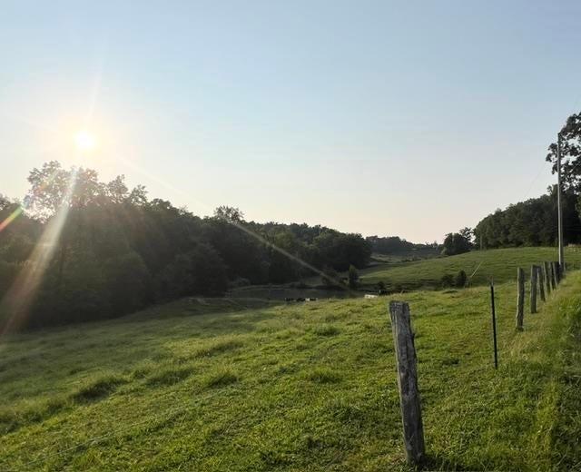 0 Wilkerson Road Adolphus, KY 42120 - Photo 4 of 5 Gallery Image 4