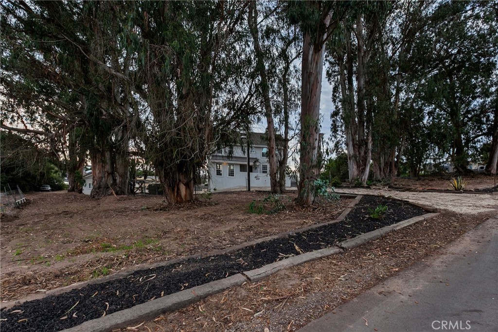 508 Mesa View Drive Arroyo Grande, CA 93420 - Photo 51 of 55 a view of a yard with plants and trees