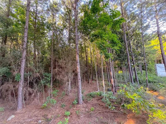 a backyard of a house with lots of trees and plants