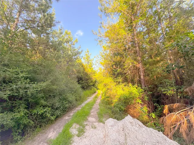 a view of a yard with flower plants