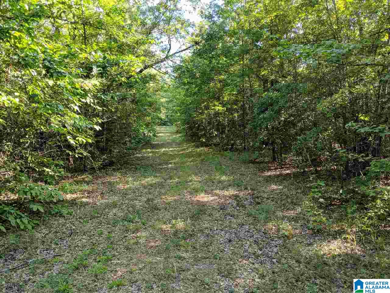 0 County Road 26 Wadley, AL 36276 - Photo 1 of 17
