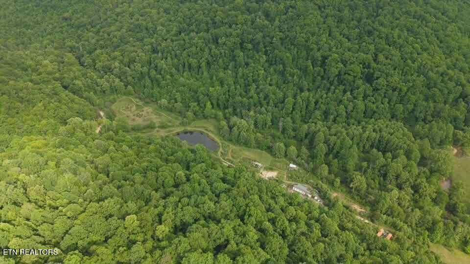 216 Lower Capuchin Road Newcomb, TN 37819 - Photo 14 of 16 att.yLw14vou-yKCRxUdQ3heUoCJEZXK9nXVdICV