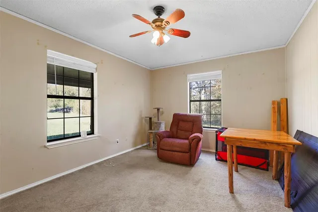 a view of an ocean and beach