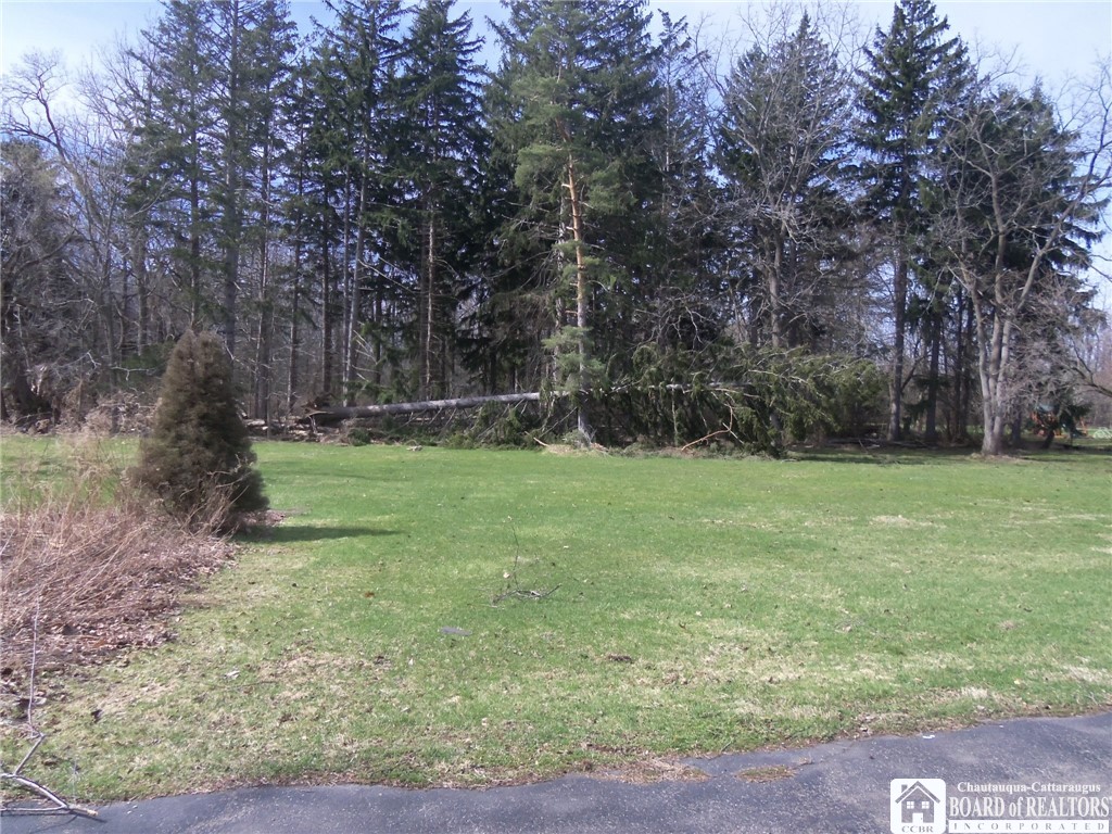 330 Chestnut Street Pomfret, NY 14063 - Photo 5 of 16