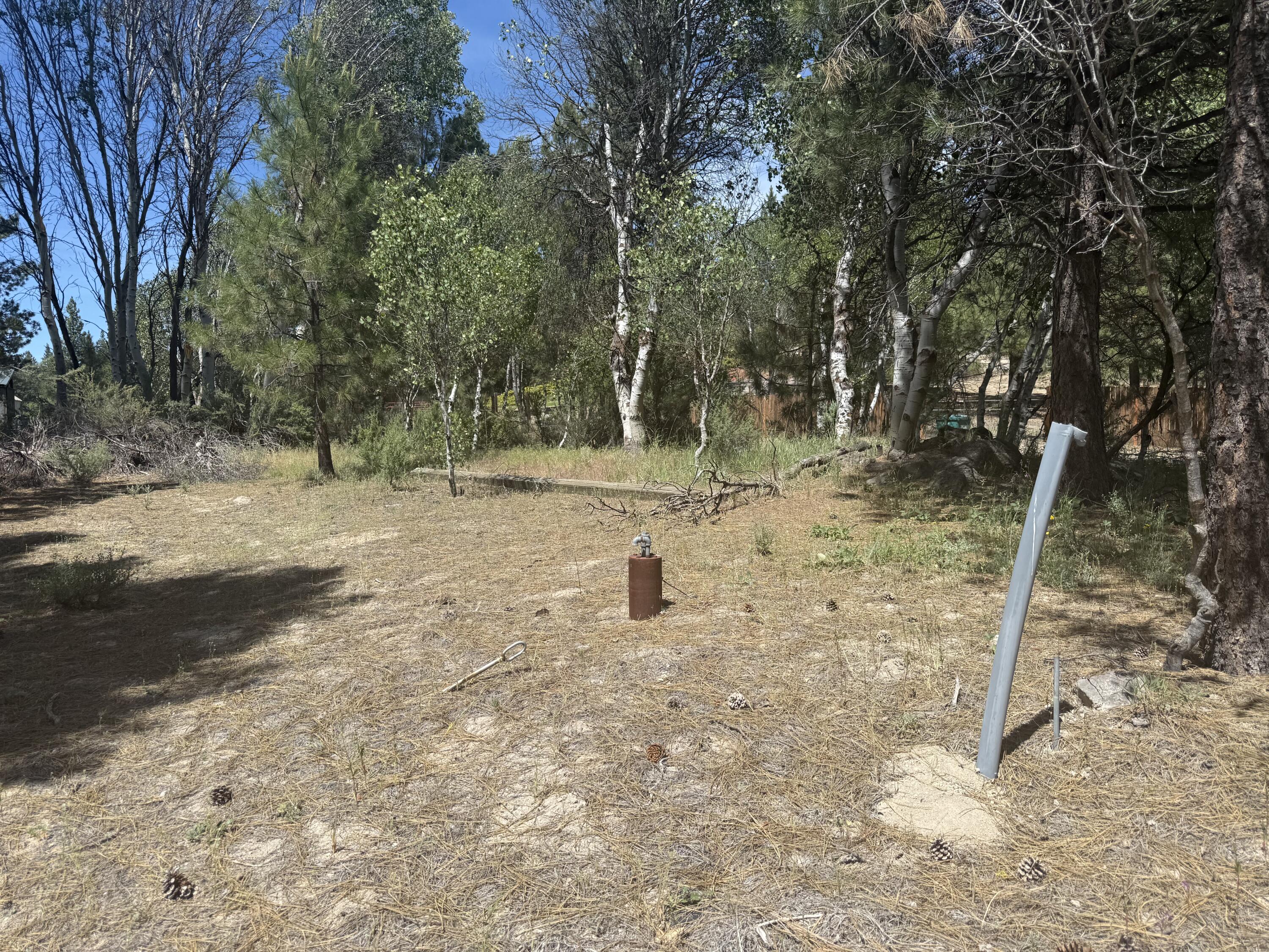 40222 Lobart Way Chiloquin, OR 97624 - Photo 1 of 10 IMG_2532
