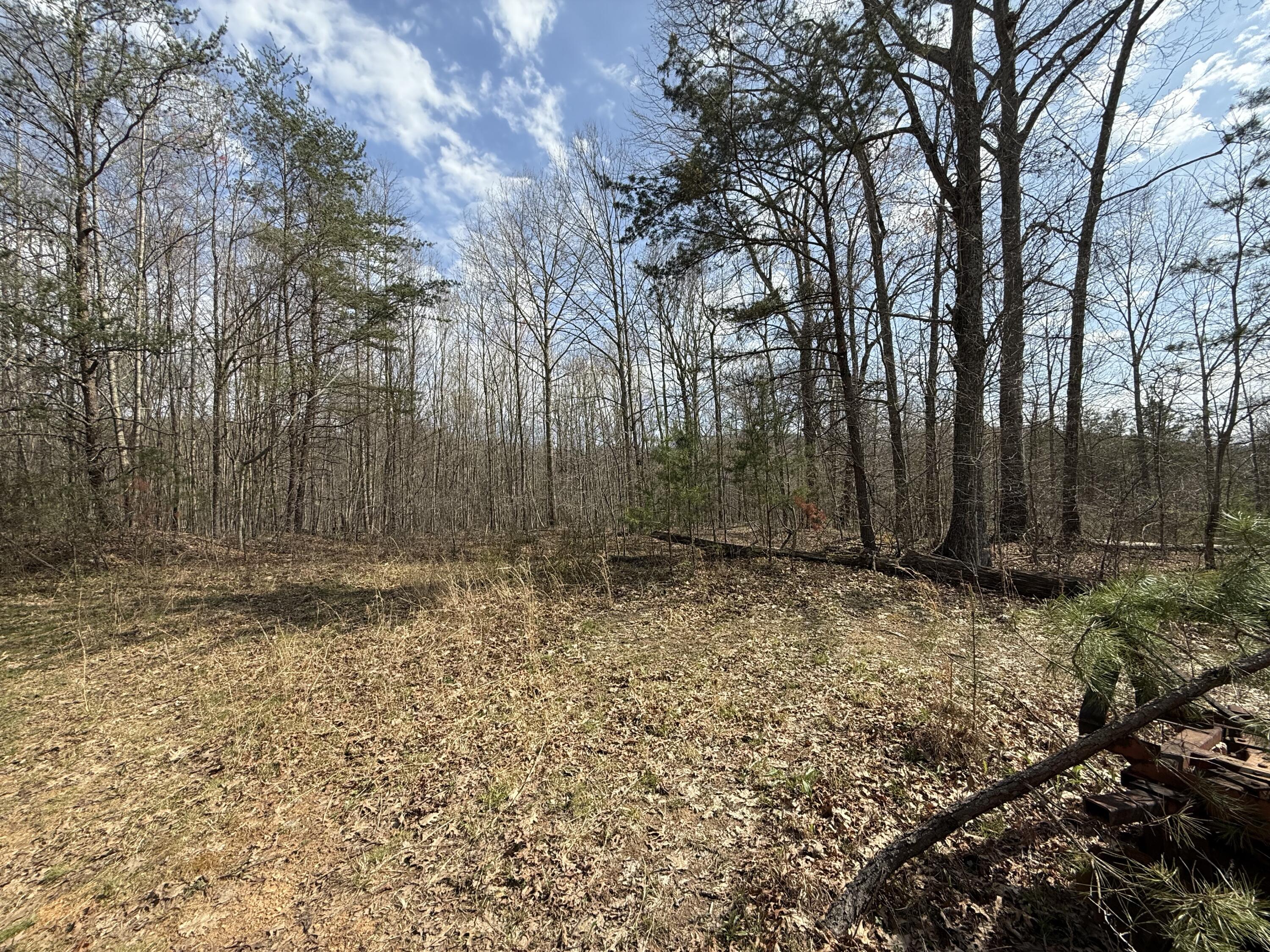 9999 Nineva Road London, KY 40741 - Photo 1 of 17 IMG_0321