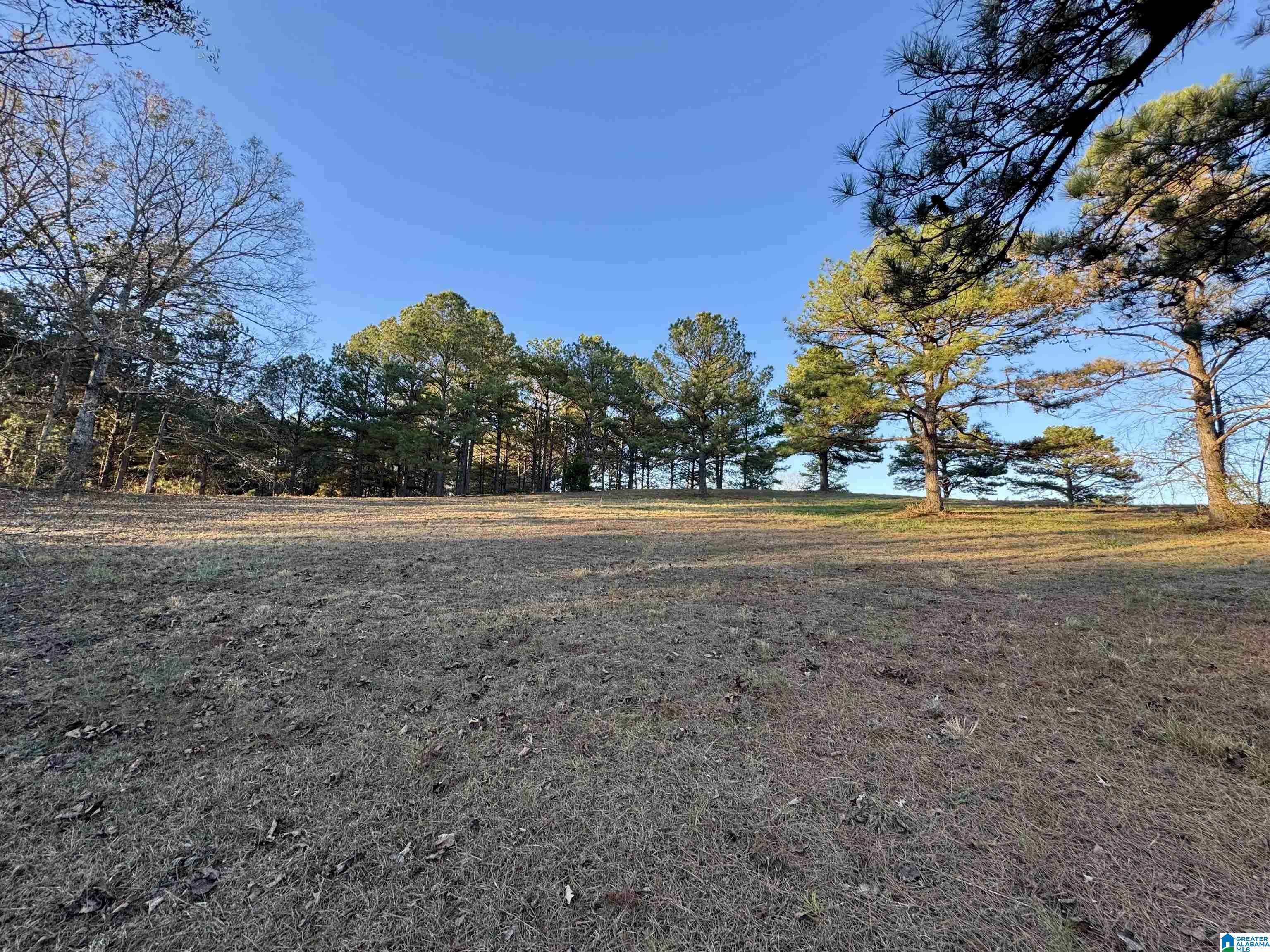 10000 Eastern Valley Road, Unit 10000 West Blocton, AL 35184 - Photo 20 of 21