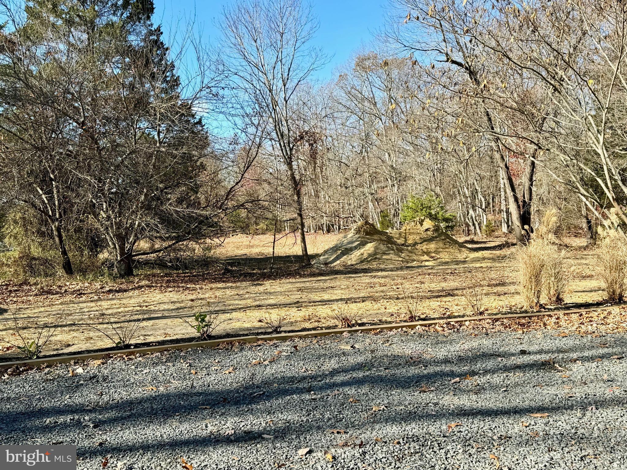 25 Cramer Road Tabernacle, NJ 08088 - Photo 19 of 20 a view of a yard with large trees