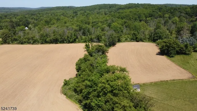 a view of a field with a tree