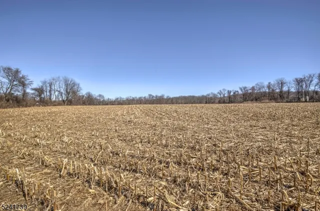 a view of lake and trees