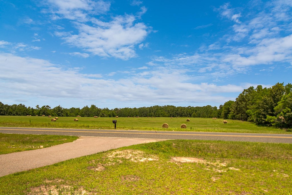 403 Colbert Bridge Road Windsor, SC 29856 - Photo 38 of 38