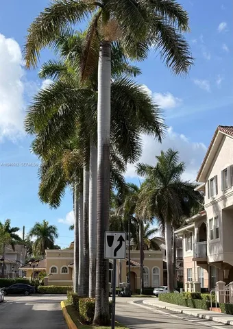 a view of a palm tree next to a road