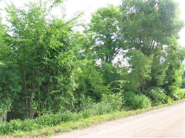 0 Birchtree Road Lexington, MI 48450 - Photo 10 of 19