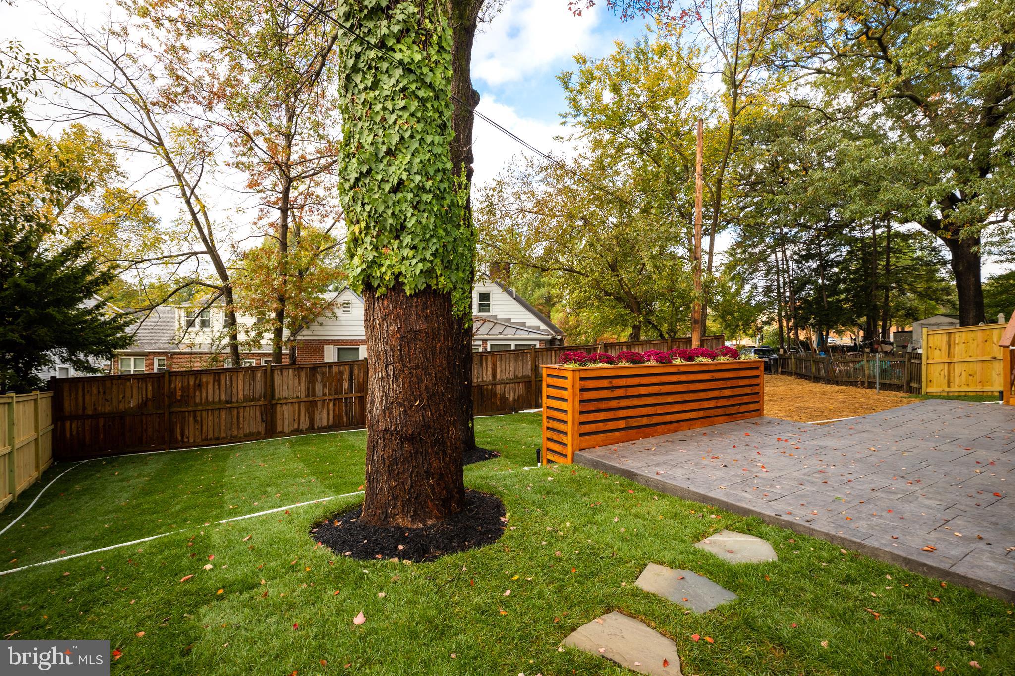 2710 South Arlington Ridge Road Arlington, VA 22206 - Photo 50 of 55
