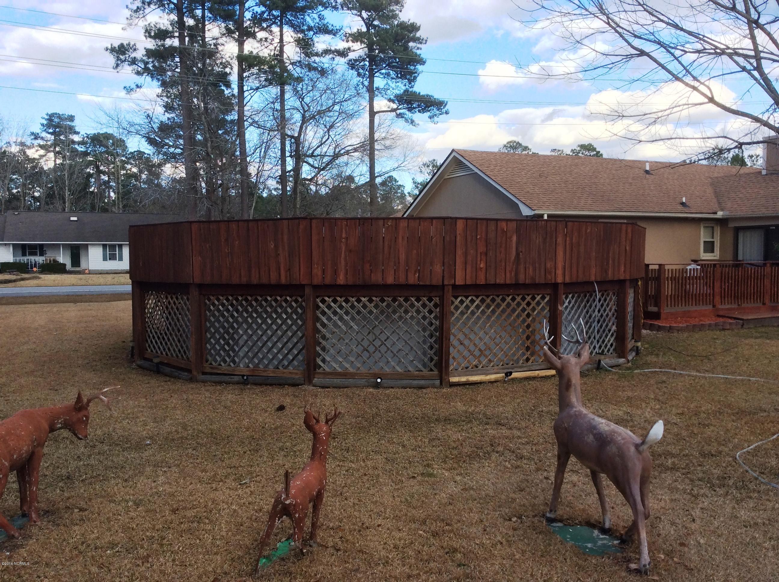 136 Manchester Road Havelock, NC 28532 - Photo 6 of 19 Pool