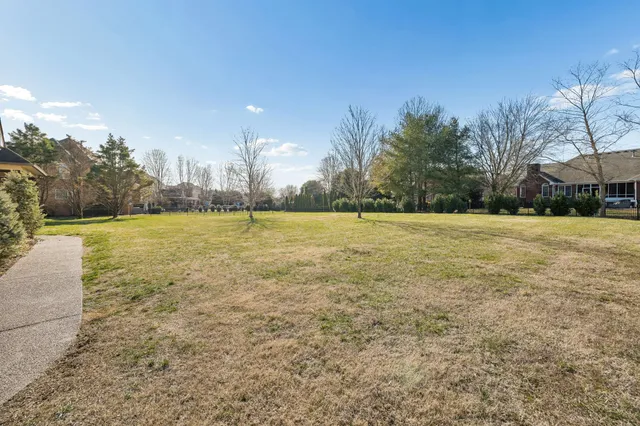 a view of a water with palm trees