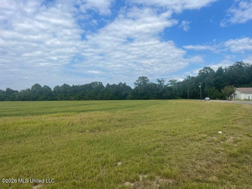 15.5-ac - Carterville Road Petal, MS 39465 - Photo 1 of 4 Carterville 1