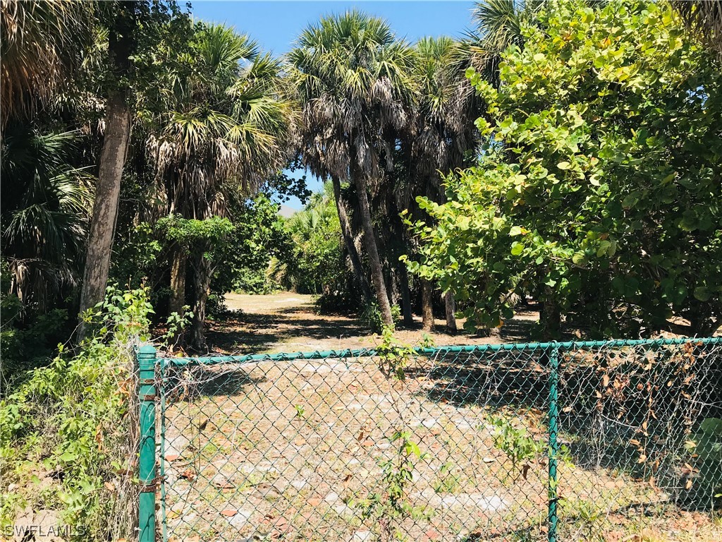 4431 Cutlass Drive Captiva, FL 33924 - Photo 5 of 11 a view of a yard with plants and trees
