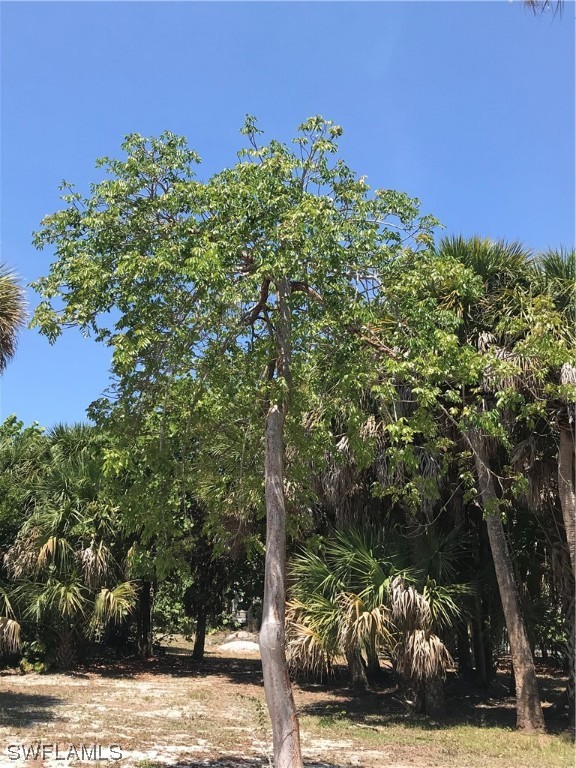 4431 Cutlass Drive Captiva, FL 33924 - Photo 6 of 11 a view of a yard