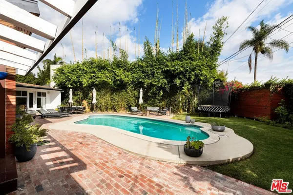 a view of a backyard with couches plants and large tree