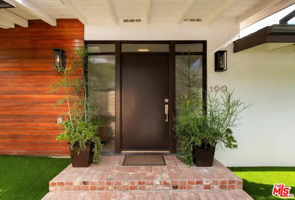 a potted plant sitting in front of a door