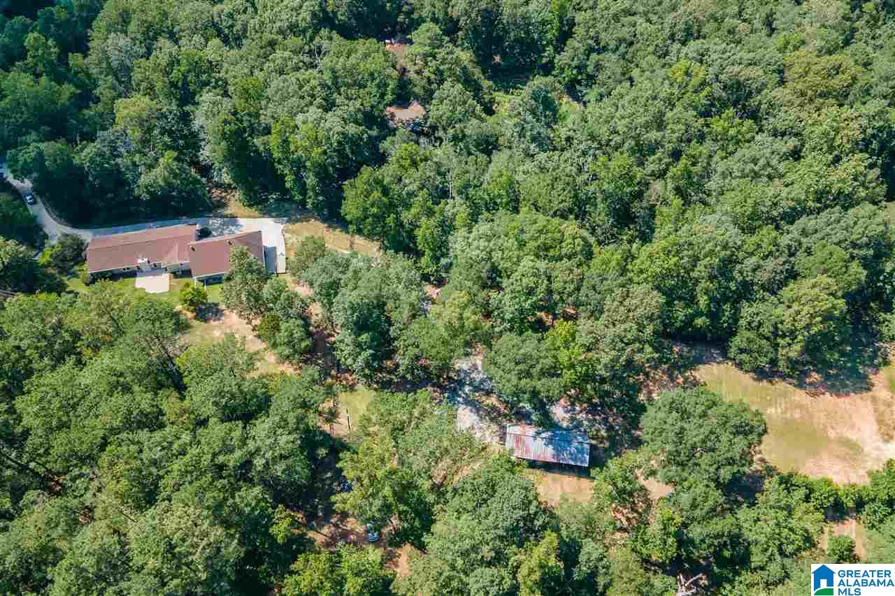 41 North Fork Circle Chelsea, AL 35043 - Photo 41 of 42