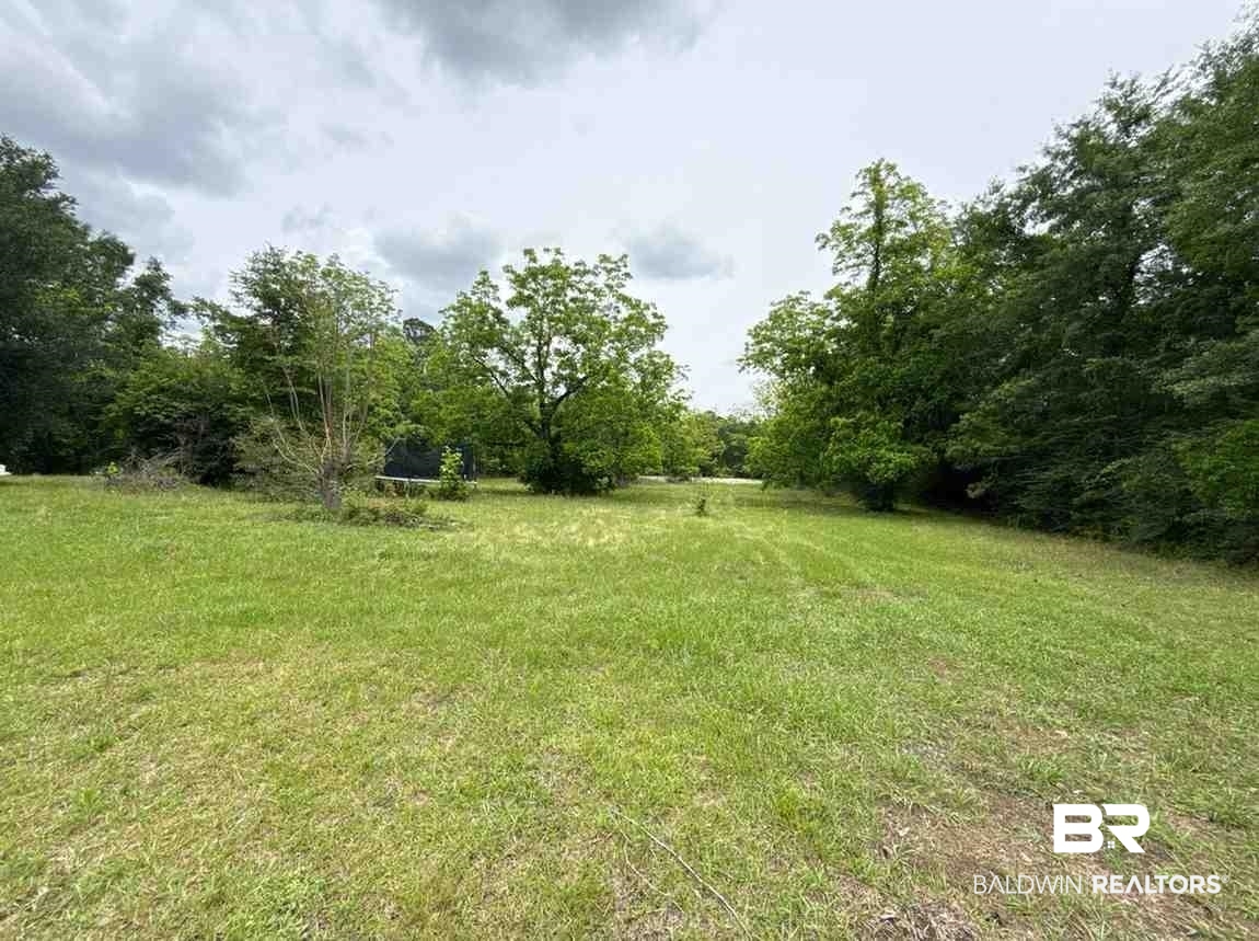 17716 Horseneck Road Bay Minette, AL 36507 - Photo 2 of 14