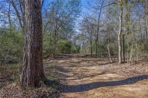 a view of a backyard with trees