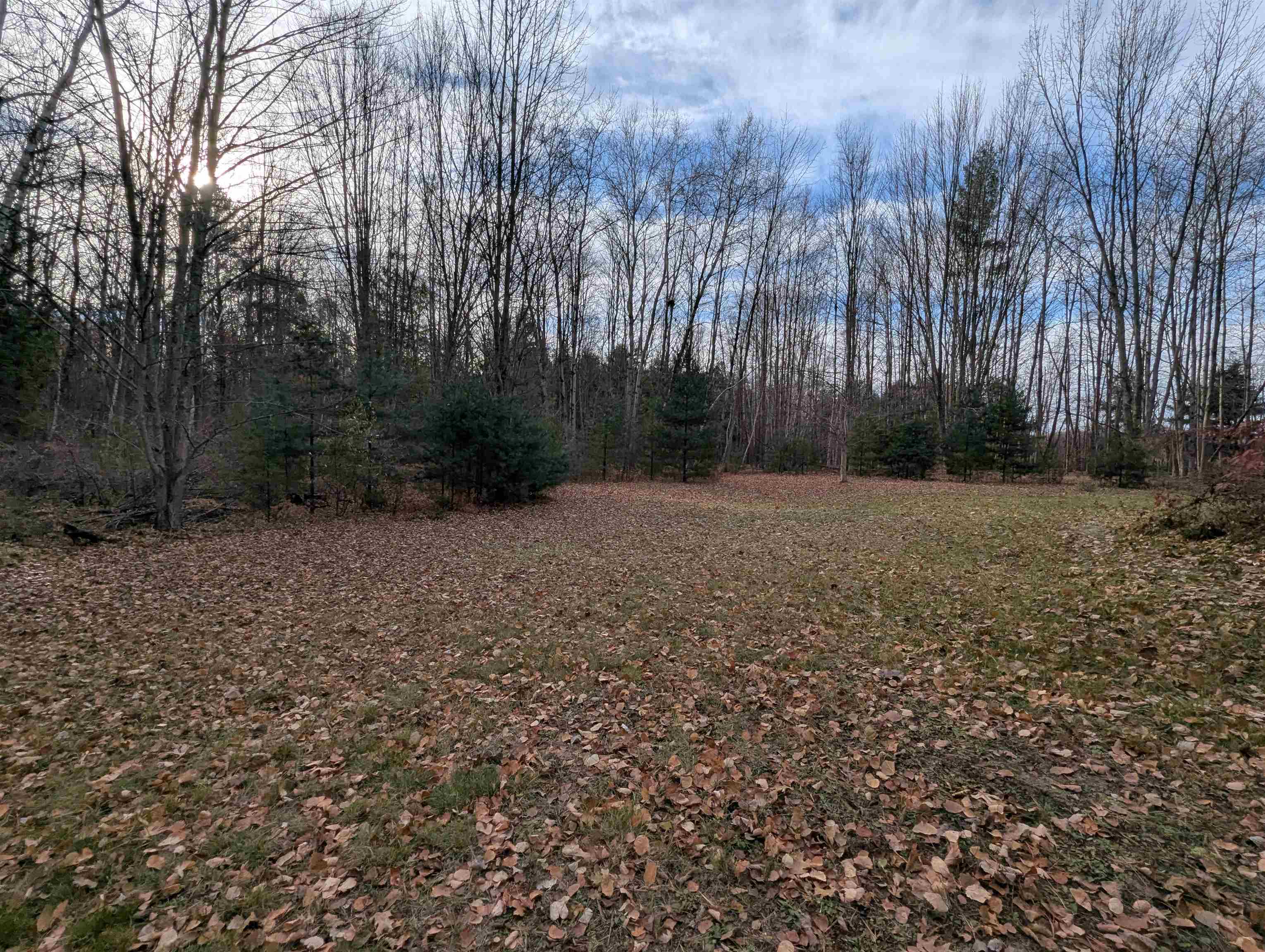 3895 Ellison Road Standish, MI 48658 - Photo 6 of 17 1940866-30143bbd-3604-4a74-a774-5897903eccb4.JPG