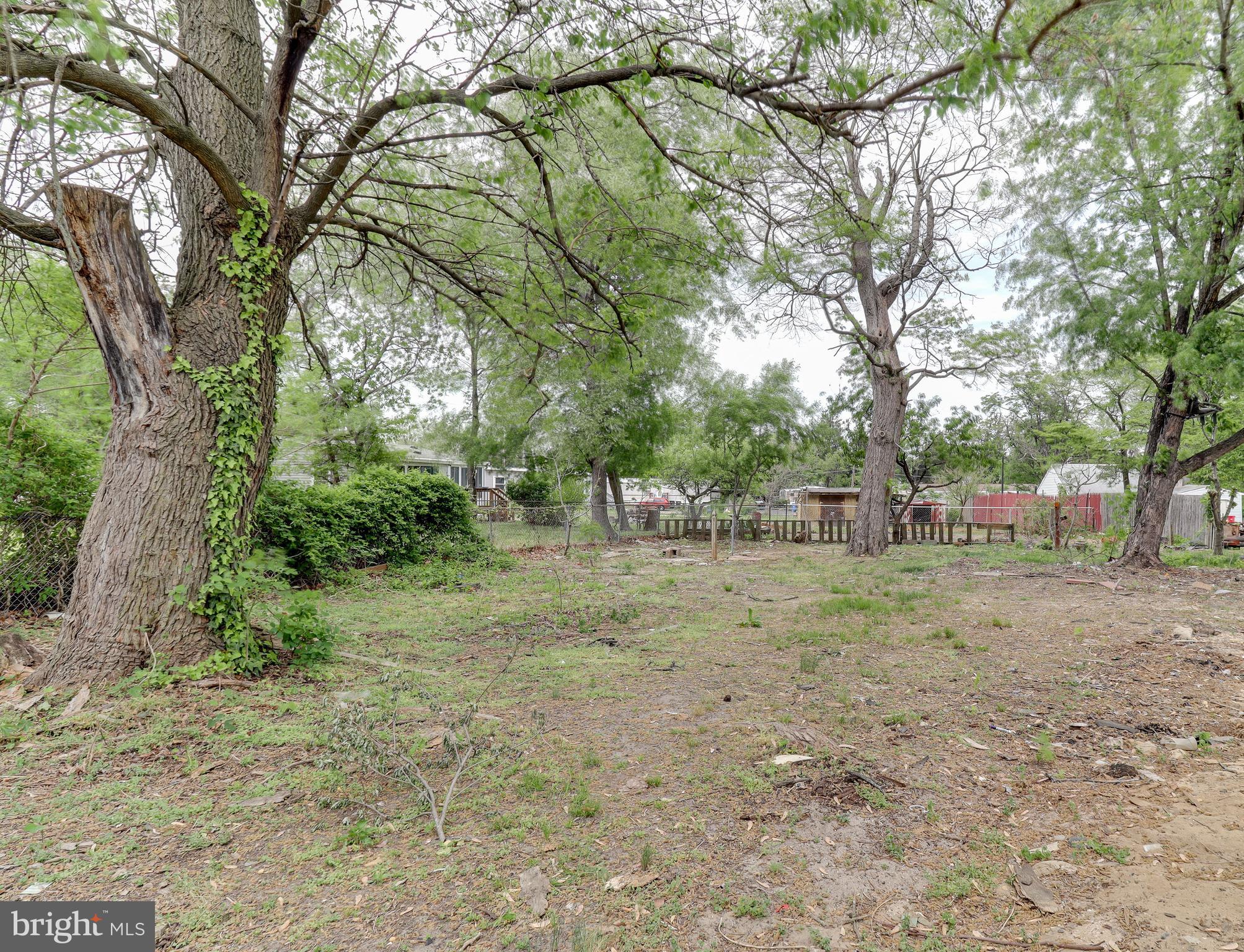 204 West Landing Road Mantua, NJ 08051 - Photo 20 of 20 a view of a forest with trees in the background