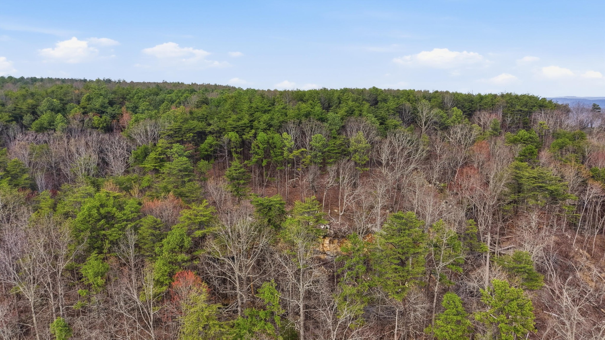 2154 Fallen Oak Pass Guild, TN 37340 - Photo 12 of 13 a view of a lake and green valley