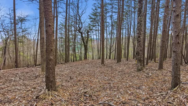 $1,050,000 | 2154 Fallen Oak Pass, Guild, TN 37340