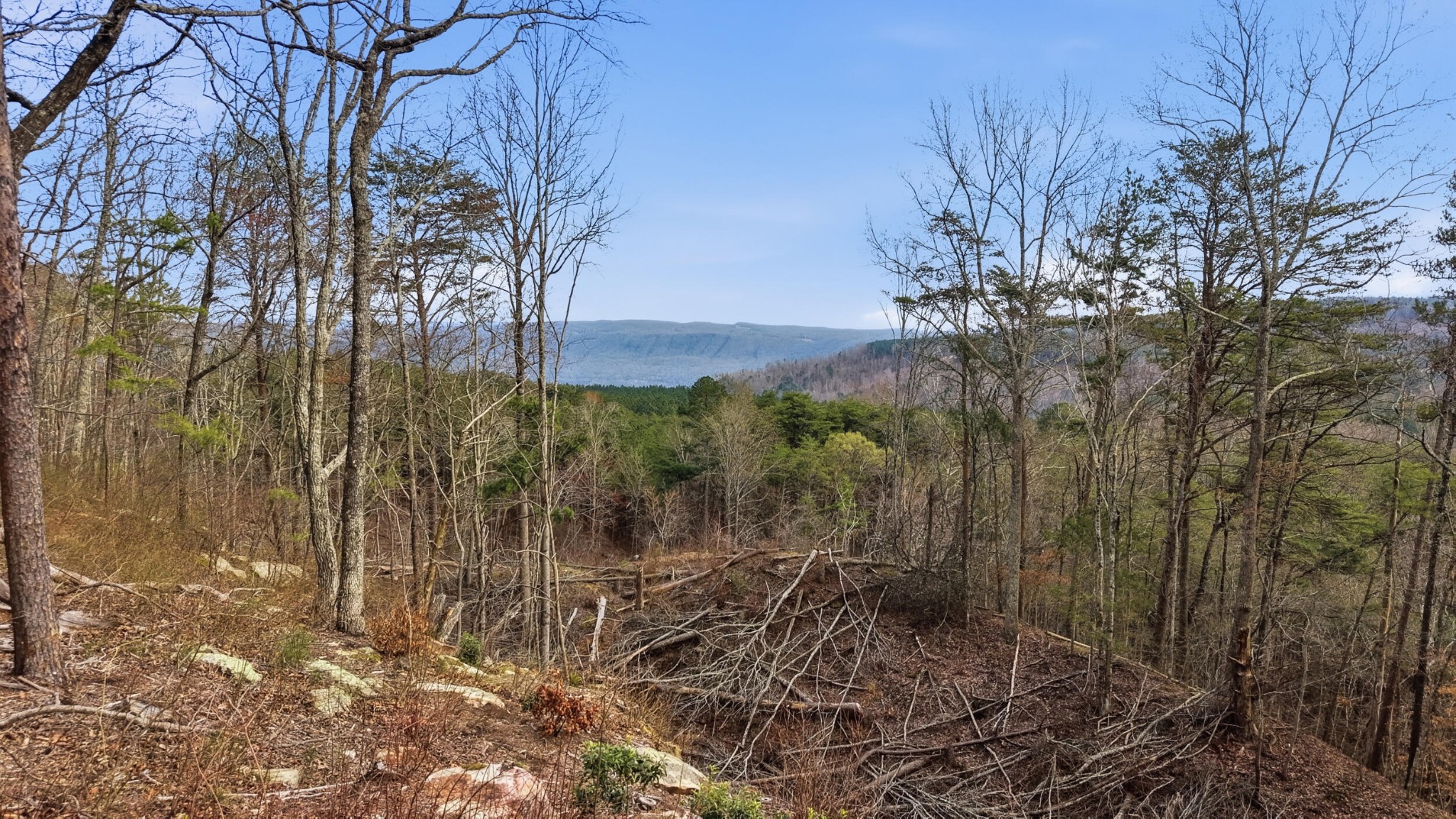 2154 Fallen Oak Pass Guild, TN 37340 - Photo 3 of 13