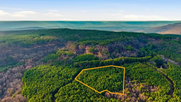 a view of a yard with plants