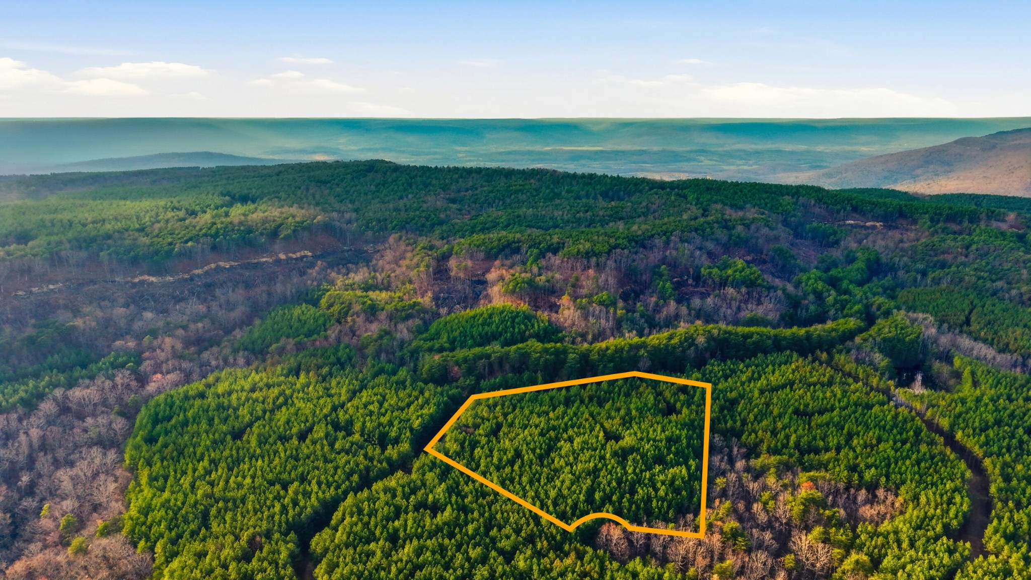 2154 Fallen Oak Pass Guild, TN 37340 - Photo 4 of 13 a view of a garden and ocean