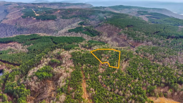 a view of a yard with an outdoor space