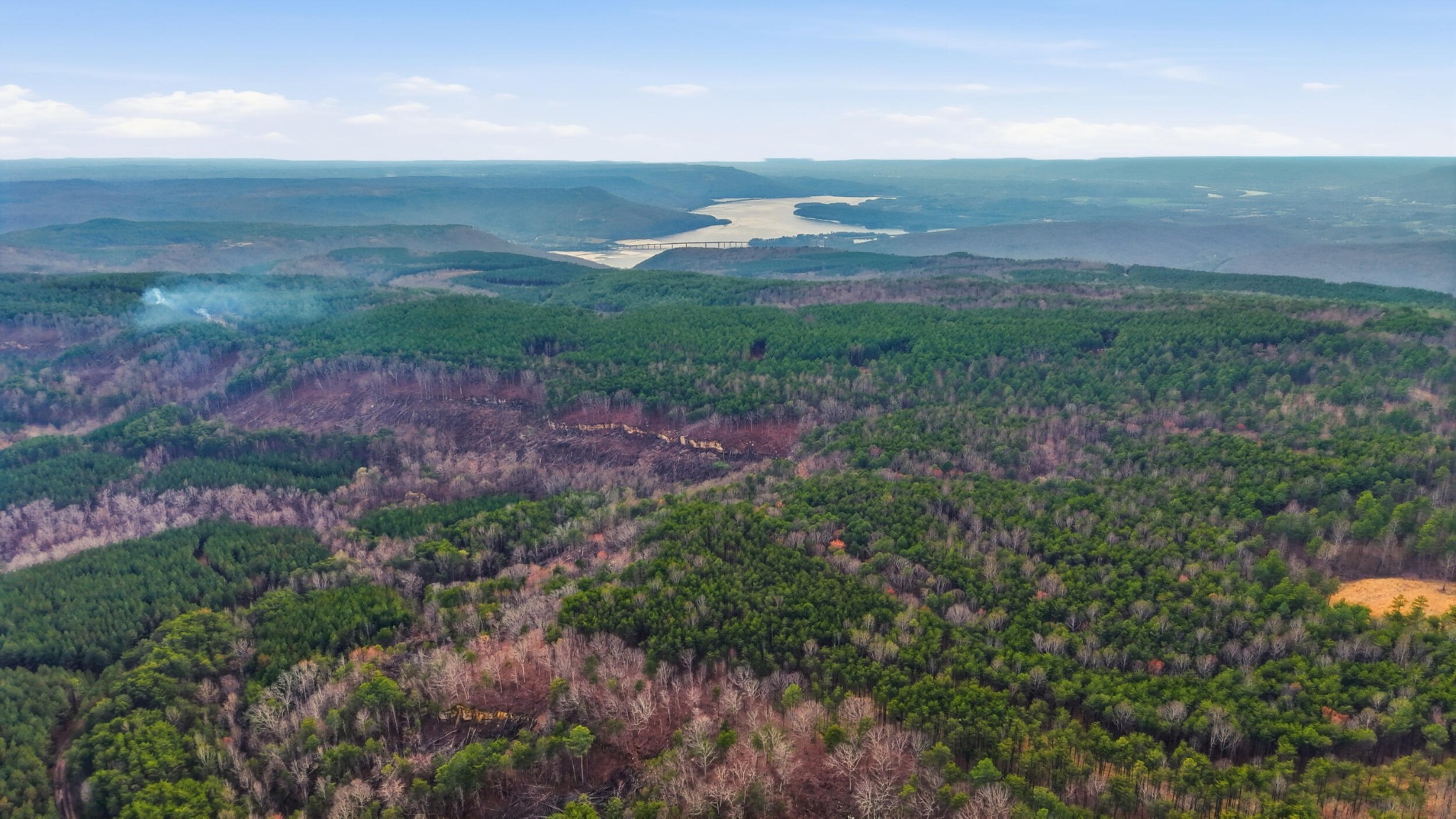 2154 Fallen Oak Pass Guild, TN 37340 - Photo 8 of 13 a view of a yard with an outdoor space